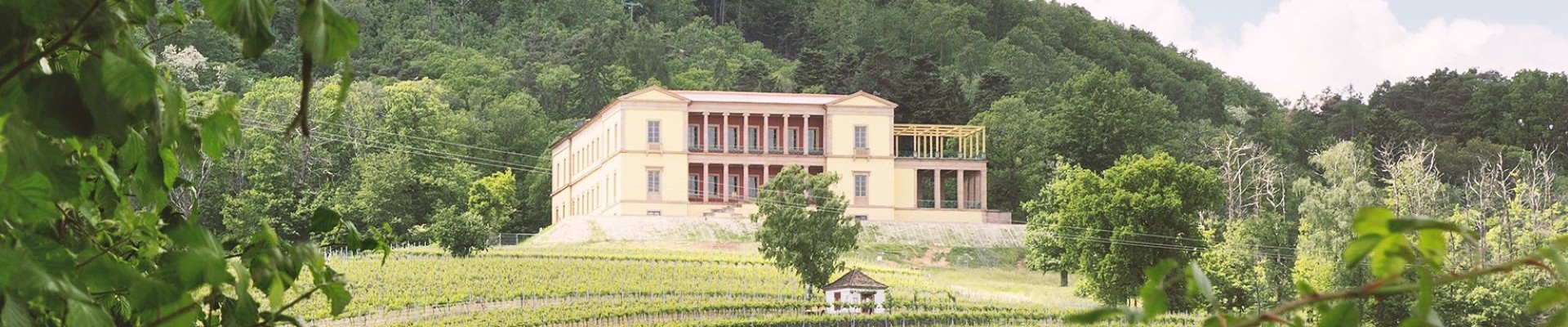 Schloss Villa Ludwigshöhe