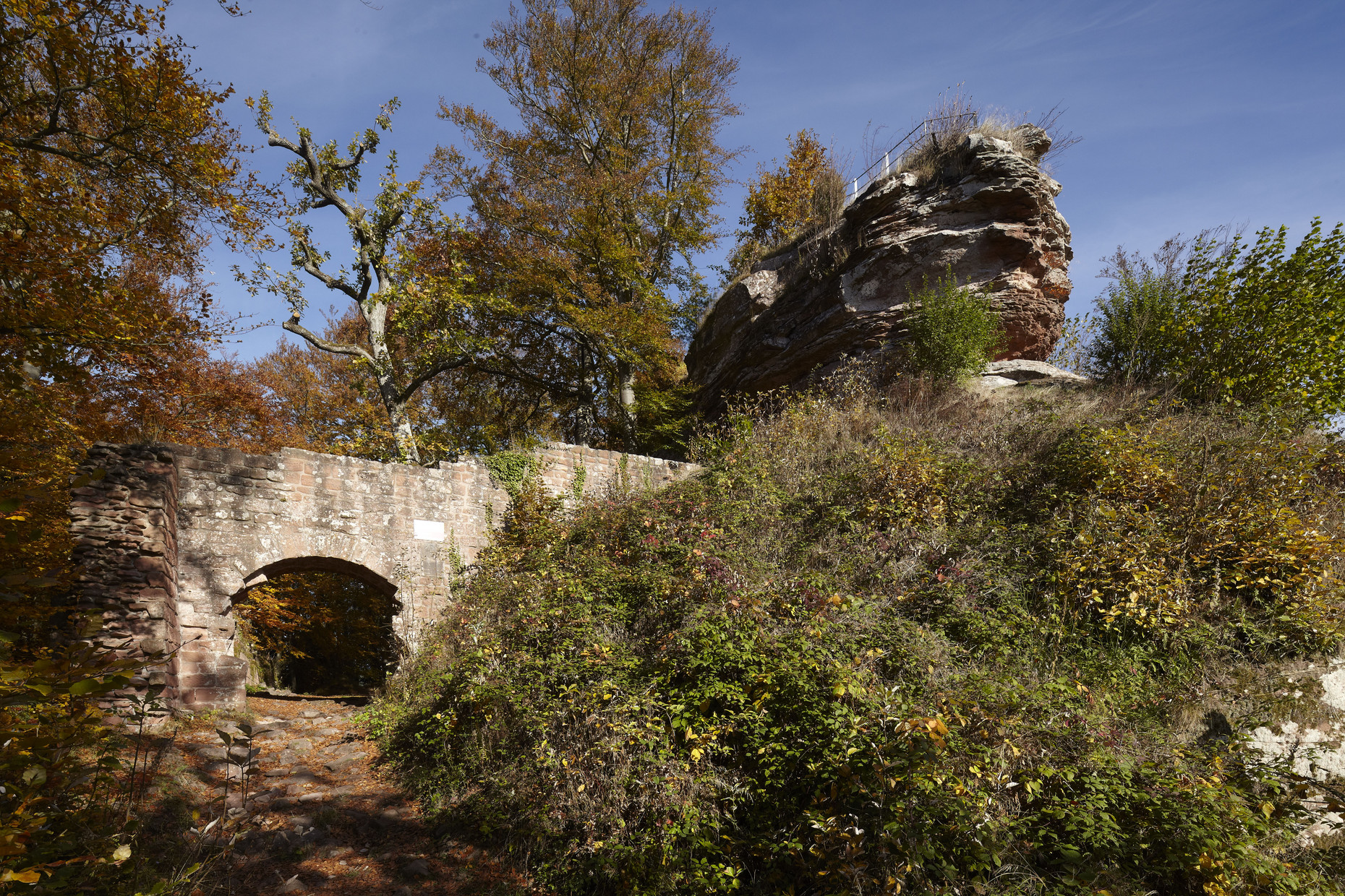 Burgruine und Bäume