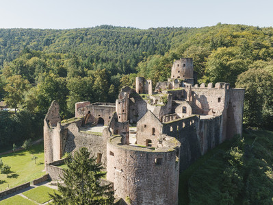 Schloss- und Festungsruine Hardenburg Luftaufnahme Hardenburg