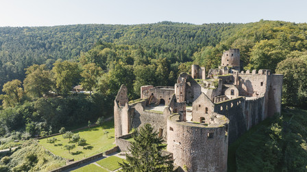 Luftaufnahme Hardenburg