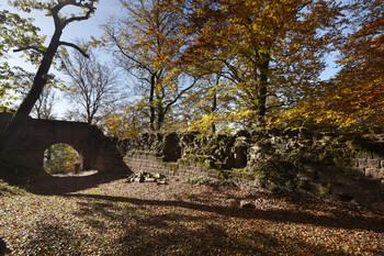 Mauerreste und Torbogen im Wald