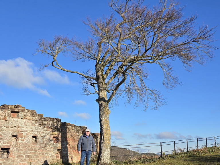 Burgruine Lindelbrunn