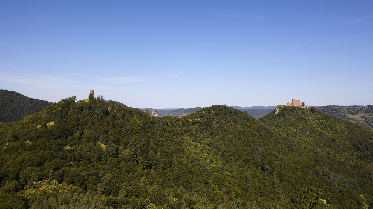 Die drei Burgen und Ruinen Trifels, Scharfenberg und Anebos