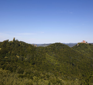 Die drei Burgen und Ruinen Trifels, Scharfenberg und Anebos