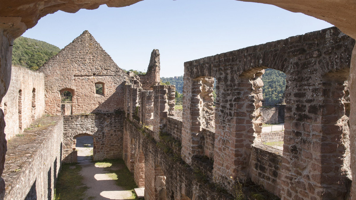 Von mutigen Rittern und stolzen Raubvögeln – Eine abendliche Erkundung der Schloss- und Festungsruine Hardenburg-