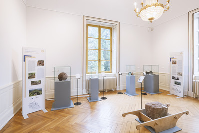 Ausstellung mit Vitrinen in hellem Raum