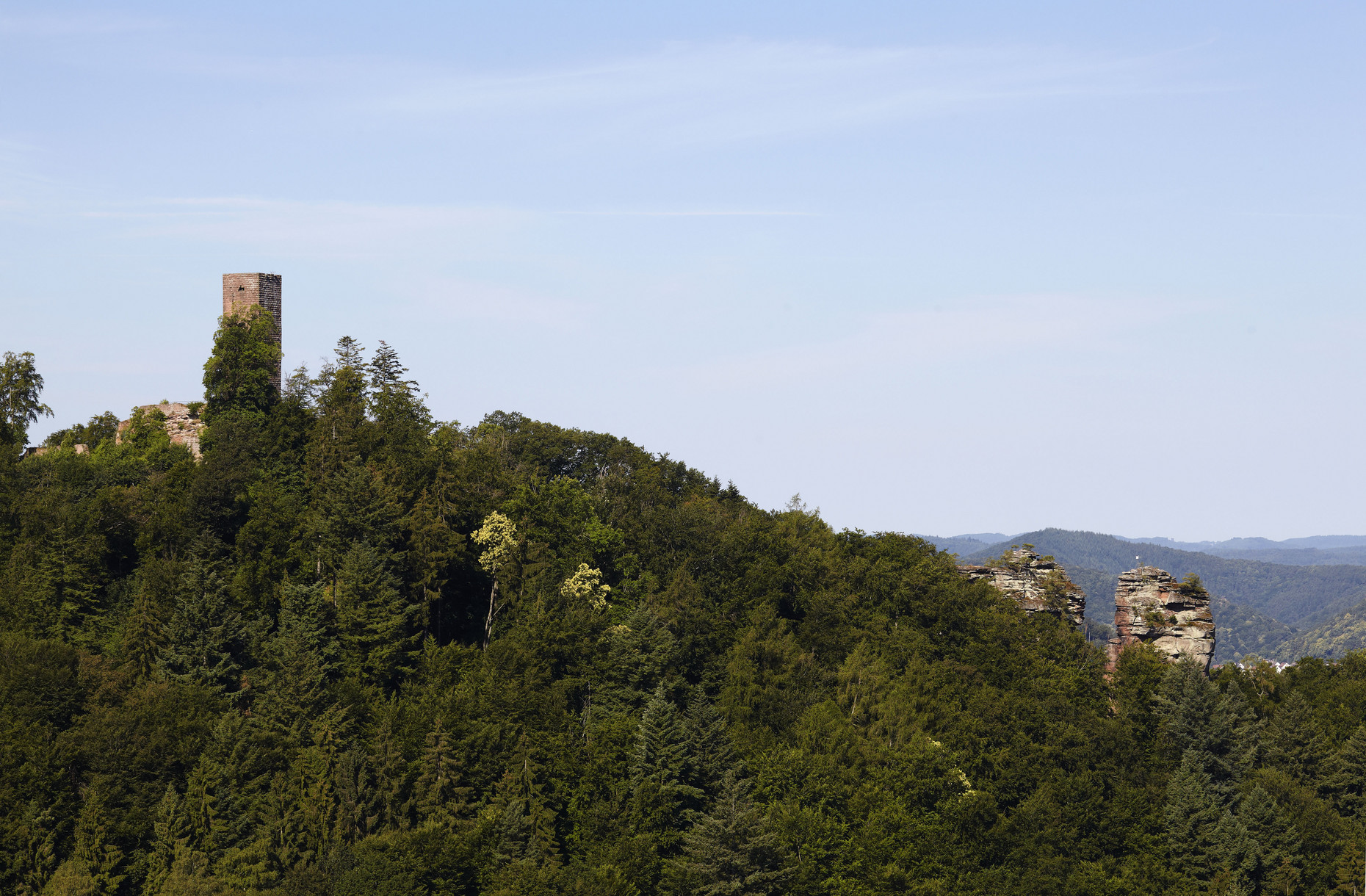 Rechteckiger Turm, der auf einem Hügel umgeben von Wald steht