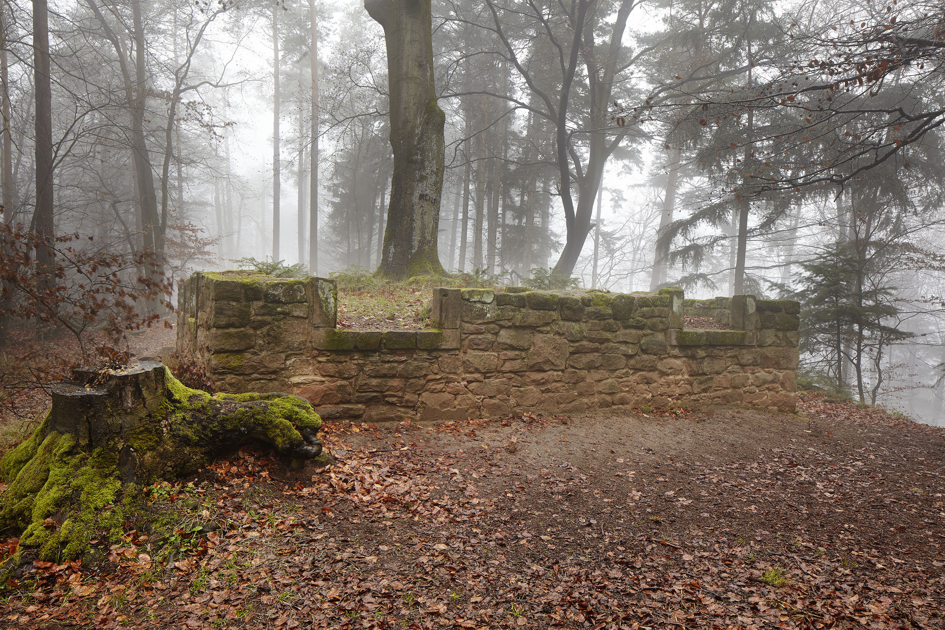 Mauerrest im Wald, bei Nebel