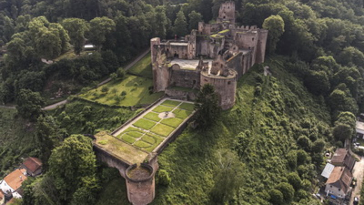 Von mutigen Rittern und stolzen Raubvögeln – Eine abendliche Erkundung der Schloss- und Festungsruine Hardenburg-