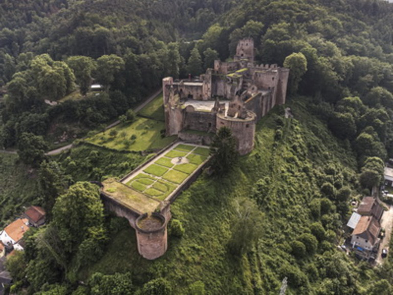 Von mutigen Rittern und stolzen Raubvögeln – Eine abendliche Erkundung der Schloss- und Festungsruine Hardenburg