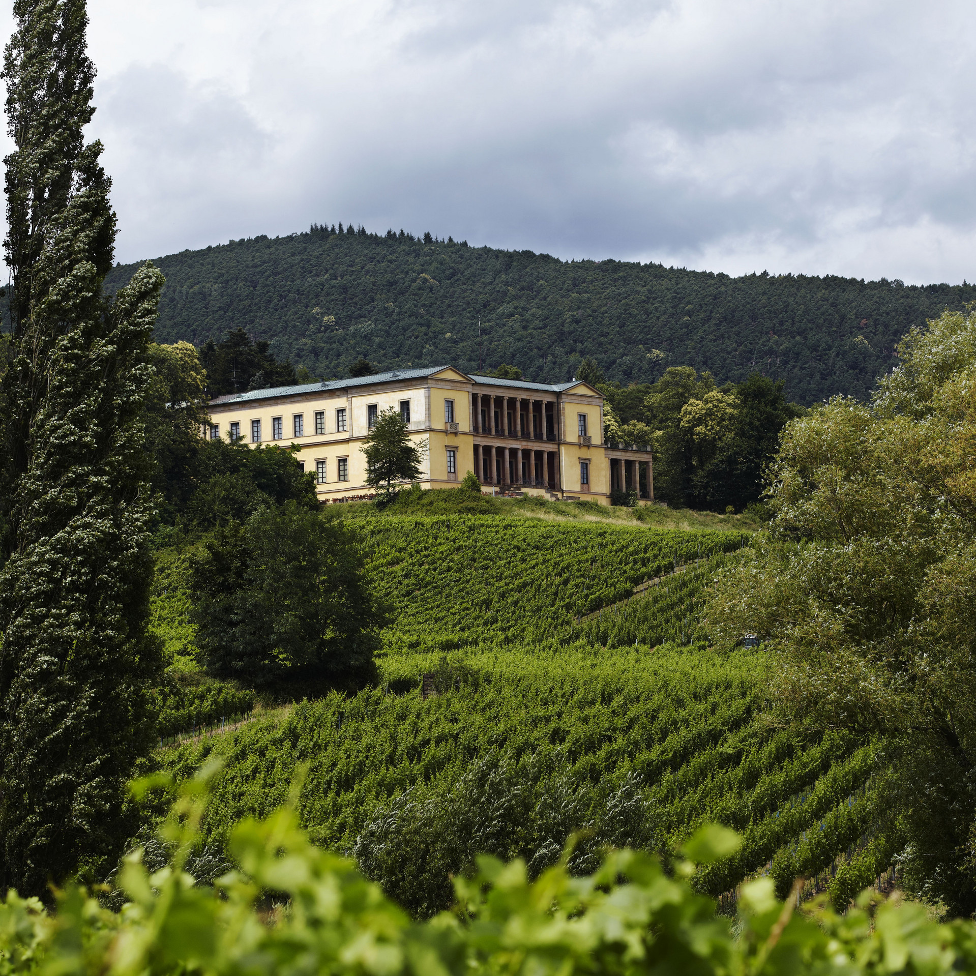 Außenansicht der Villa Ludwigshöhe aus der Ferne