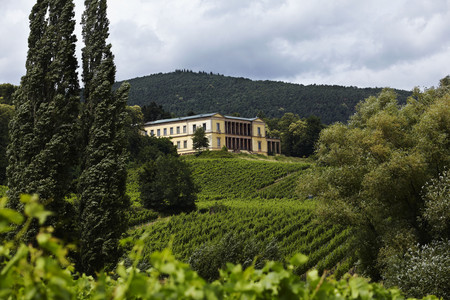 Außenansicht der Villa Ludwigshöhe aus der Ferne