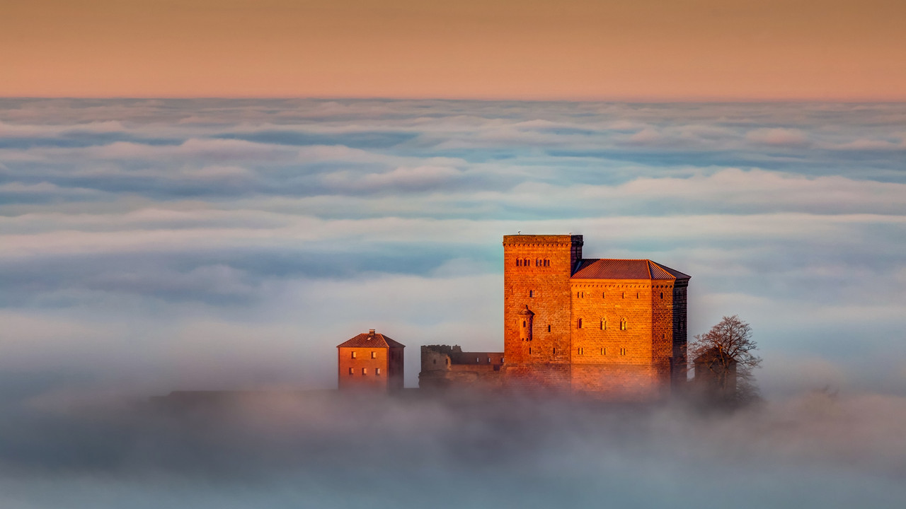 Luftbild Burg Trifels im Nebel