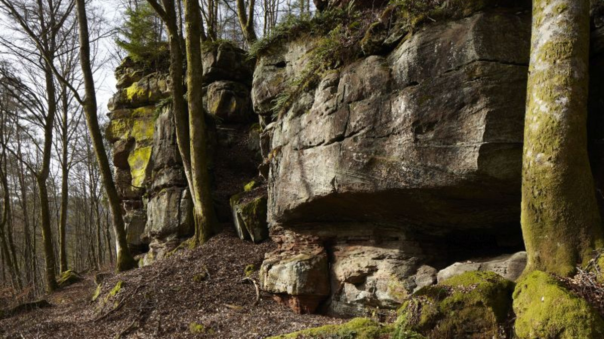 Die Heidelsburg, Geschichte einer keltischen Fliehburg und römischen Höhensiedlung-
