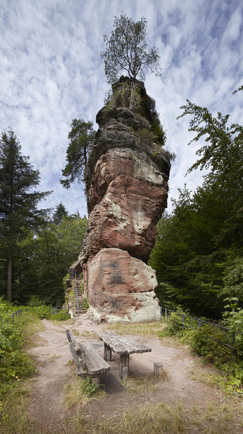 Burgruine Blumenstein, Felsen im Wald